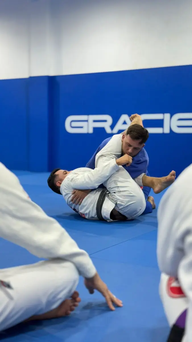 Programa Adultos Gracie Barra