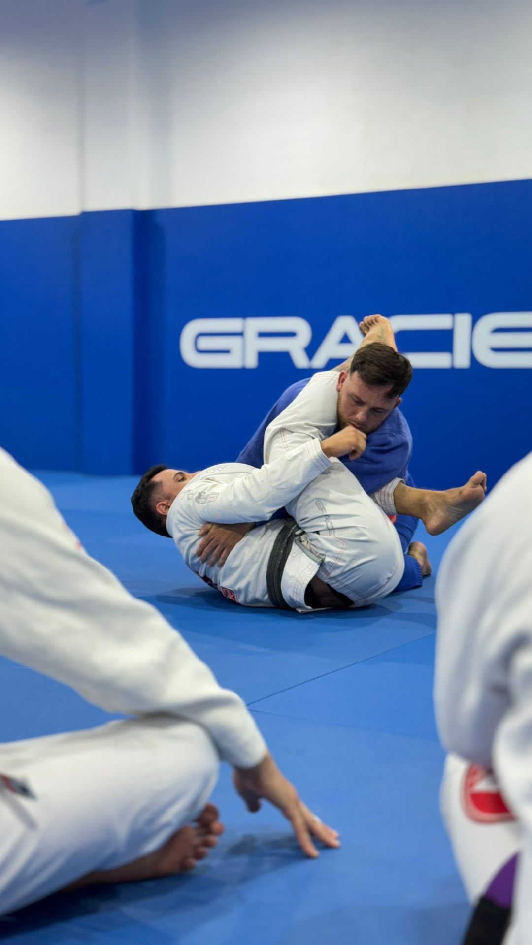 Programa Adultos Gracie Barra